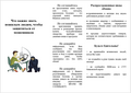 Цифровая безопасность